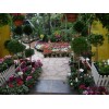 VIVERO MADRE NATURALEZA
