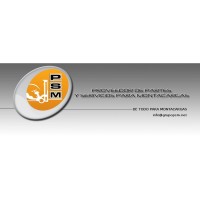 PSM CIA LTDA
