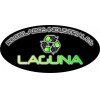 RECICLADOS INDUSTRIALES LAGUNA, SA DE CV