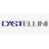 CASTELLINI S.R.L.