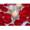 SPA ANNDY DANNIEL TANTRA