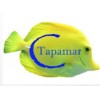 COMERCIAL TAPAMAR