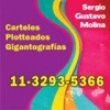 SERGIO GUSTAVO MOLINA