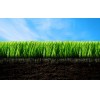 PRODUCTOS PARA LA AGROINDUSTRIA