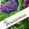 Jardines verticales naturales