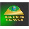 INFORMES COMERCIALES, CREDITICIOS Y FINANCIEROS DE EMPRESAS