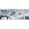 CHAIZ VEINTE SL