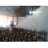 FUMIGACIONES SANTIAGO