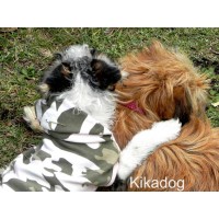 KIKADOG