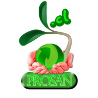 COMERCIALIZADORA PROSAN.CL