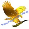 FOREVER LIVING PRODUCTS