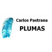 Plumas faisan