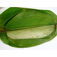 Hoja de Bijao, para hallacas y juanes