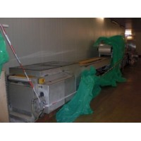 Envasadora Multivac CD6000MC Skin Darfresh