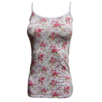 Musculosa  Paula  ( 1573 )