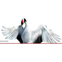 AIR TRADE CENTRE DURABLE HVAC SOLUTIONS