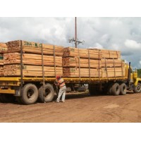 MADERAPINO CARIBE POR GANDOLA EN VENEZUELA(MERCADO INTERNO)