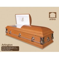 ATAUD ARLINTON