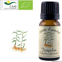 Aceite Esencial Jengibre Bio. 12 ml