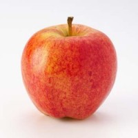 MANZANA GALA