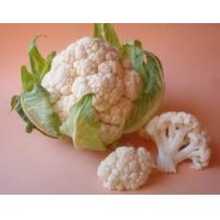 COLIFLOR 