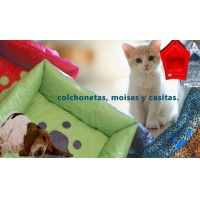 Colchonetas para perros