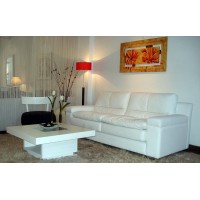 Juego de Living, Sofa Mod. Capri 2,20 Mt 