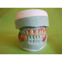 Laboratorio Dental 