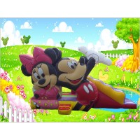 CASTILLO INFLABLE MICKEY Y MINNIE