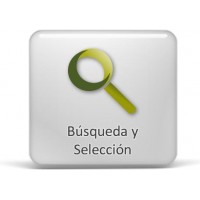 Bsqueda y Seleccin de Personal