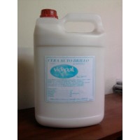 CERA ACRLICA AUTOBRILLO - BIDN 5 LTS. $5.950