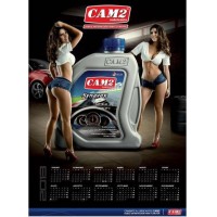 CAM2 CALENDARIO 2013