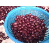 Aceituna 
