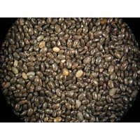 Chia, semillas de chia