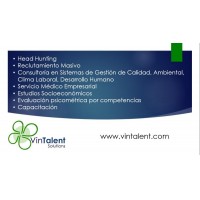 Consultora Especializada