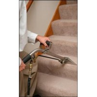 LIMPIEZA Y LAVADO DE ALFOMBRAS TAPETES MUEBLES CORTINAS