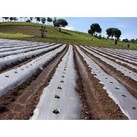 Plástico para acolchado