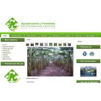 Diseo y Desarrollo Integral Web