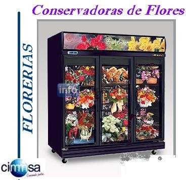 EXHIBIDORES DE FLORES- CIMMSA RPM #990899807