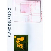 PREDIO COMERCIAL 2,000 M2,3 FRENTES,2 ESQUINAS,FRENTE AL PARQUE