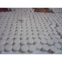 Cascarilla para santeria caja con 100pz. $350