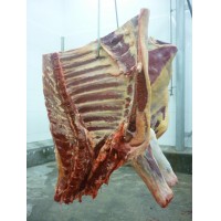 CARNE DE GANADO DE URUGUAY