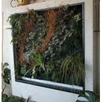 Cuadros Verticales