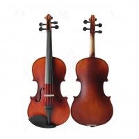 Violn