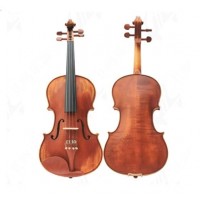 Violn