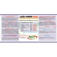 CAA POWER PLUS
