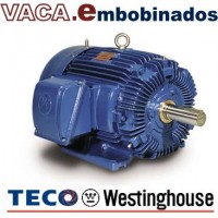 Motores TECO Westinghouse