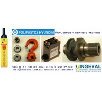 Repuestos y Servicio Tecnico Polipastos Hyundai - Hyundai Hoist