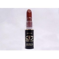 Lapiz Labial -Buscamos revendores o representantes