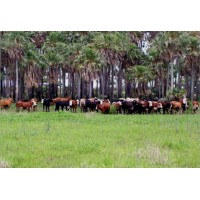 Campos en La Pampa